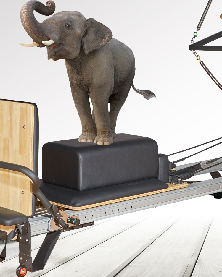 Aluminium Pilates Half Trapeze