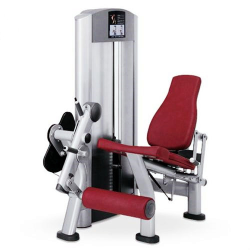 Gym Leg Extension