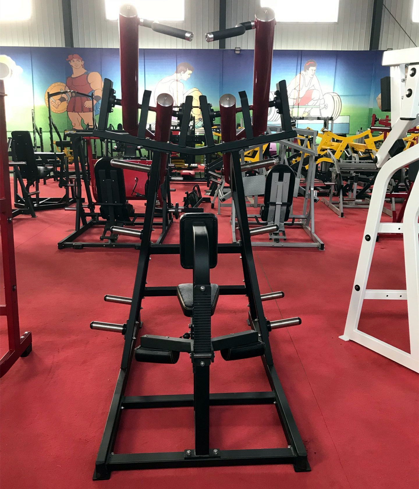 Iso-Lateral Front Lat Pulldown