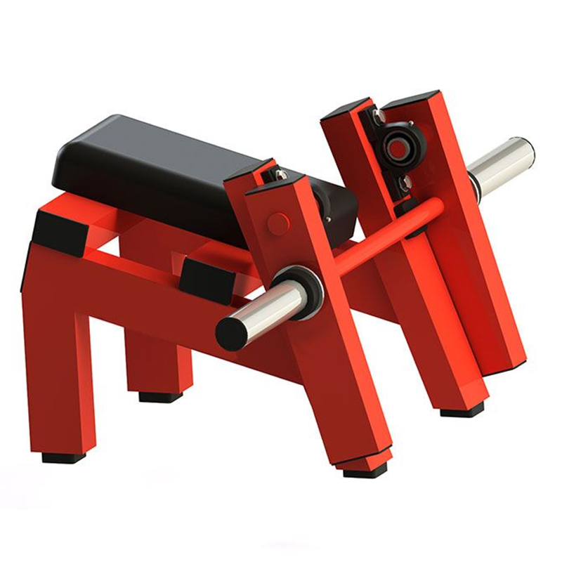 Fore Arm CurlKingace Fitness