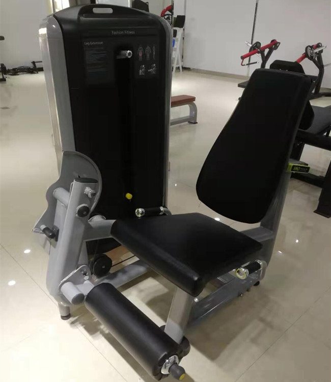 Leg Extension