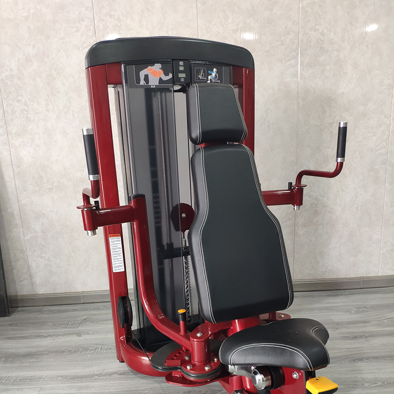 Butterfly Chest Muscle