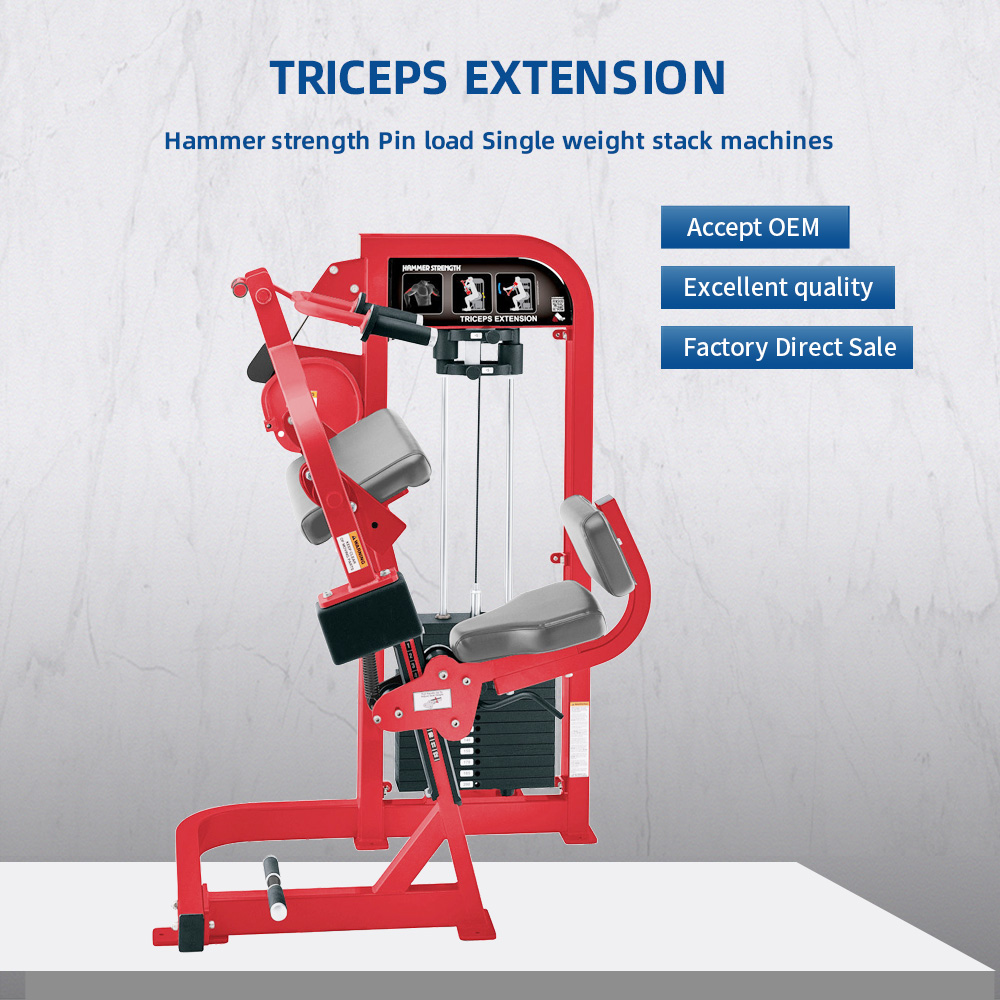 Hammer Selected Triceps Extension