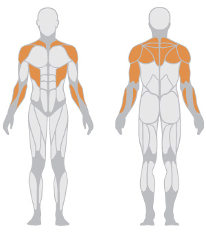 Super Shoulder Bench