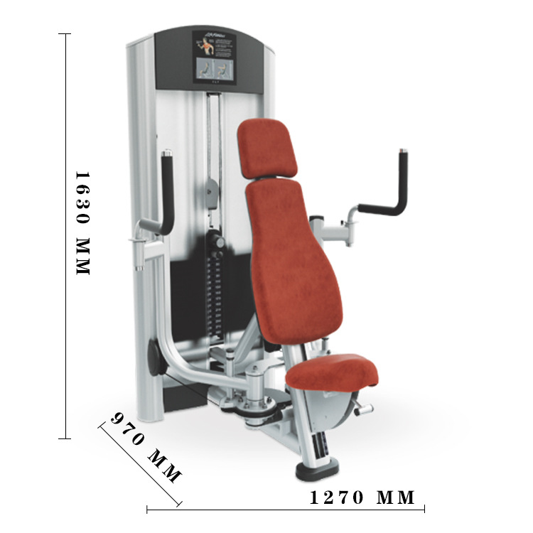 Gym Butterfly Chest Muscle