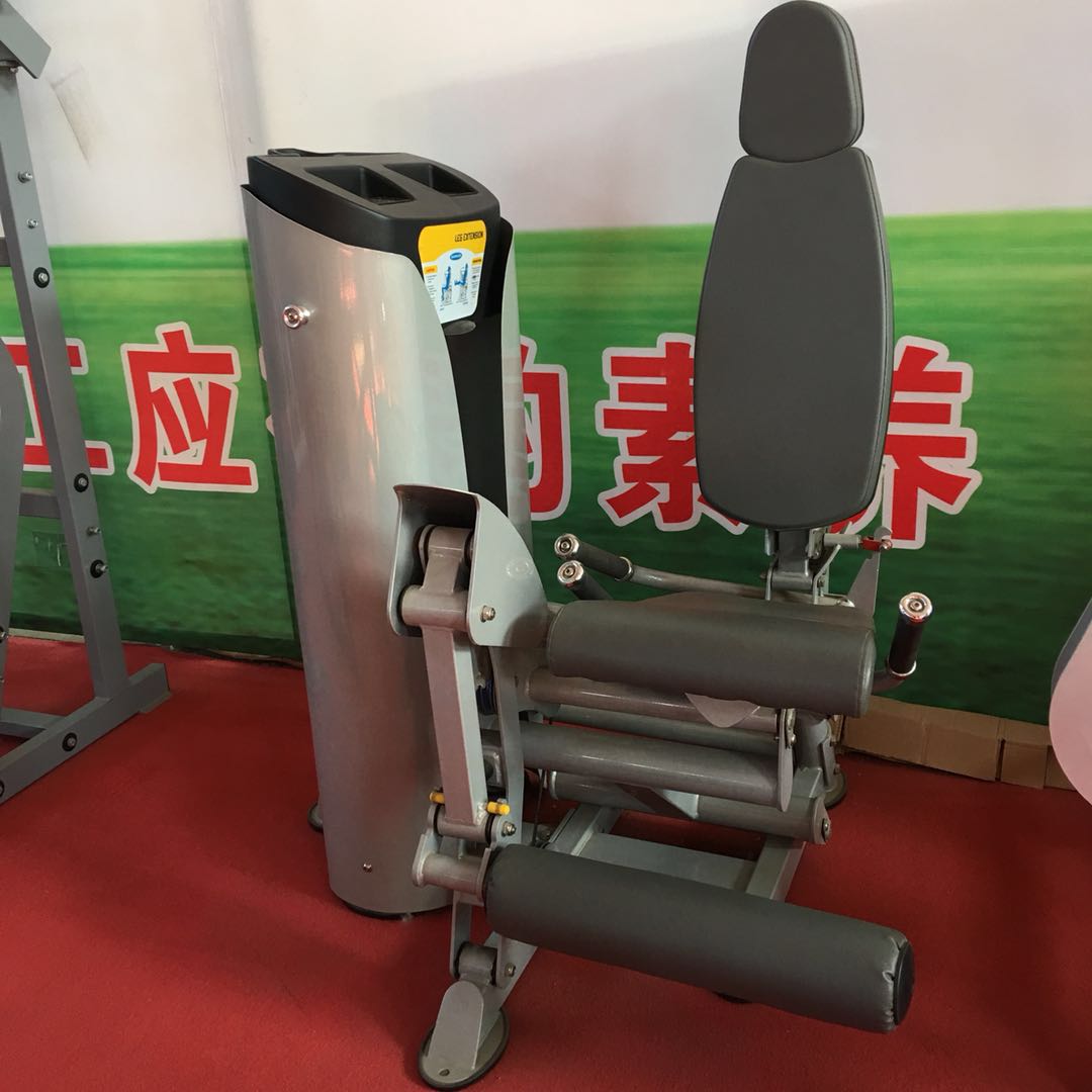 Commercial Leg Extension