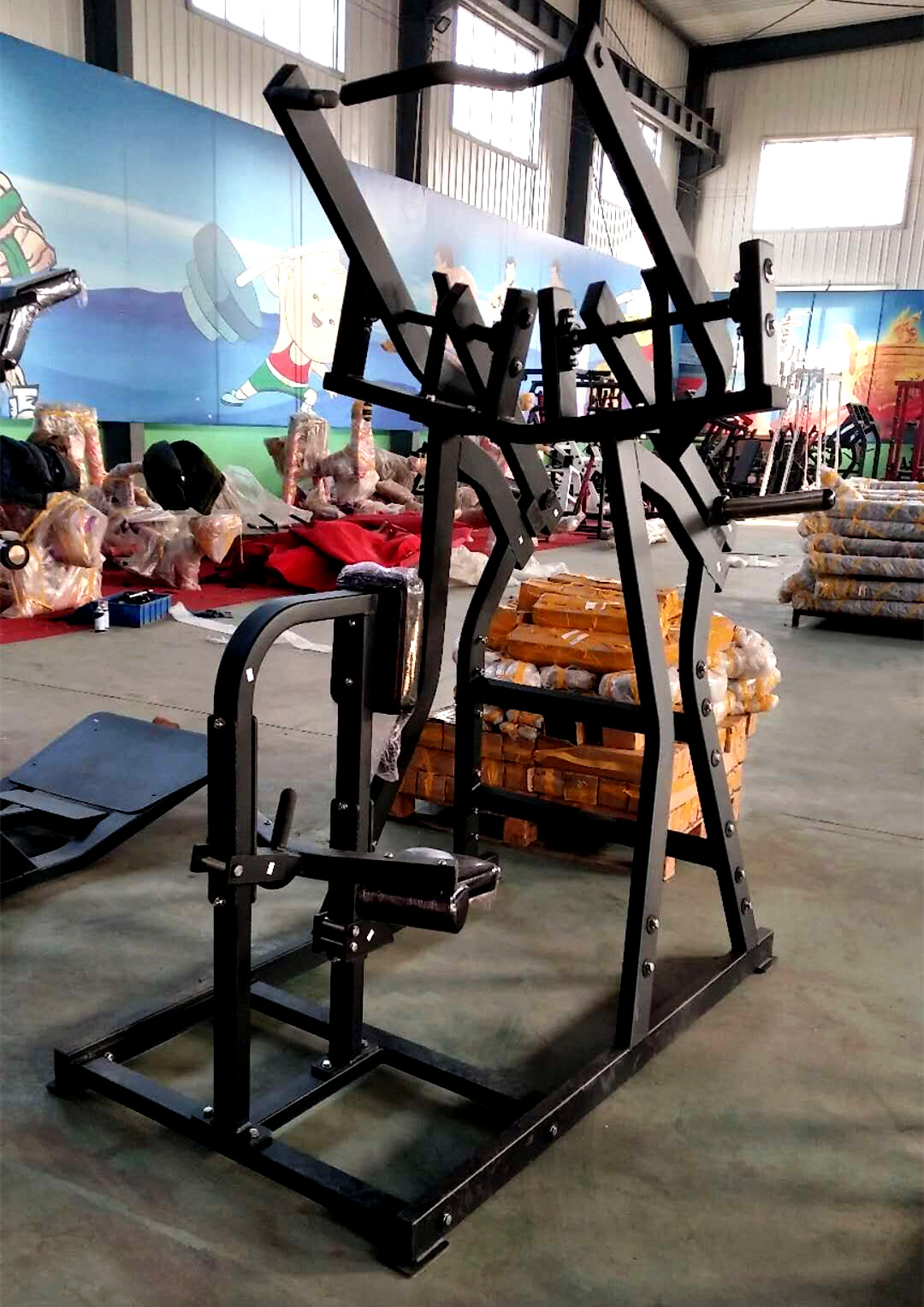 Iso-Lateral Front Lat Pulldown