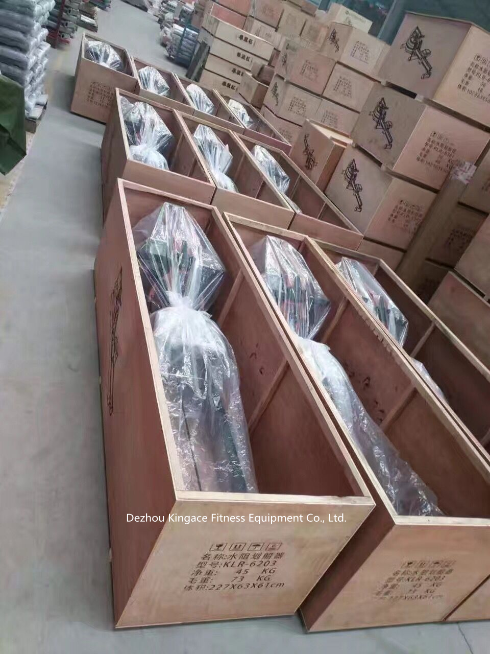 Water Rowing Machine