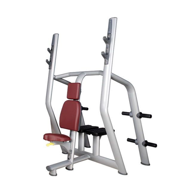 Vertical BenchKingace Fitness