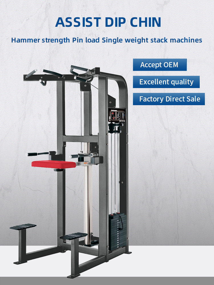 Hammer Selected Assist Dip Chin