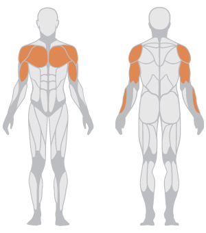 Super Inclined Bench