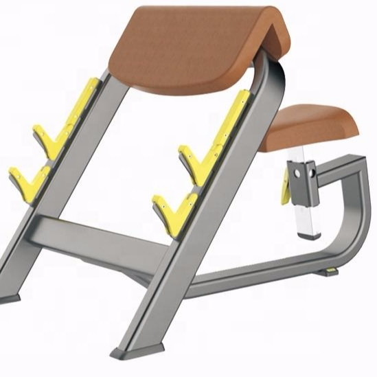 Seated Preacher Curl