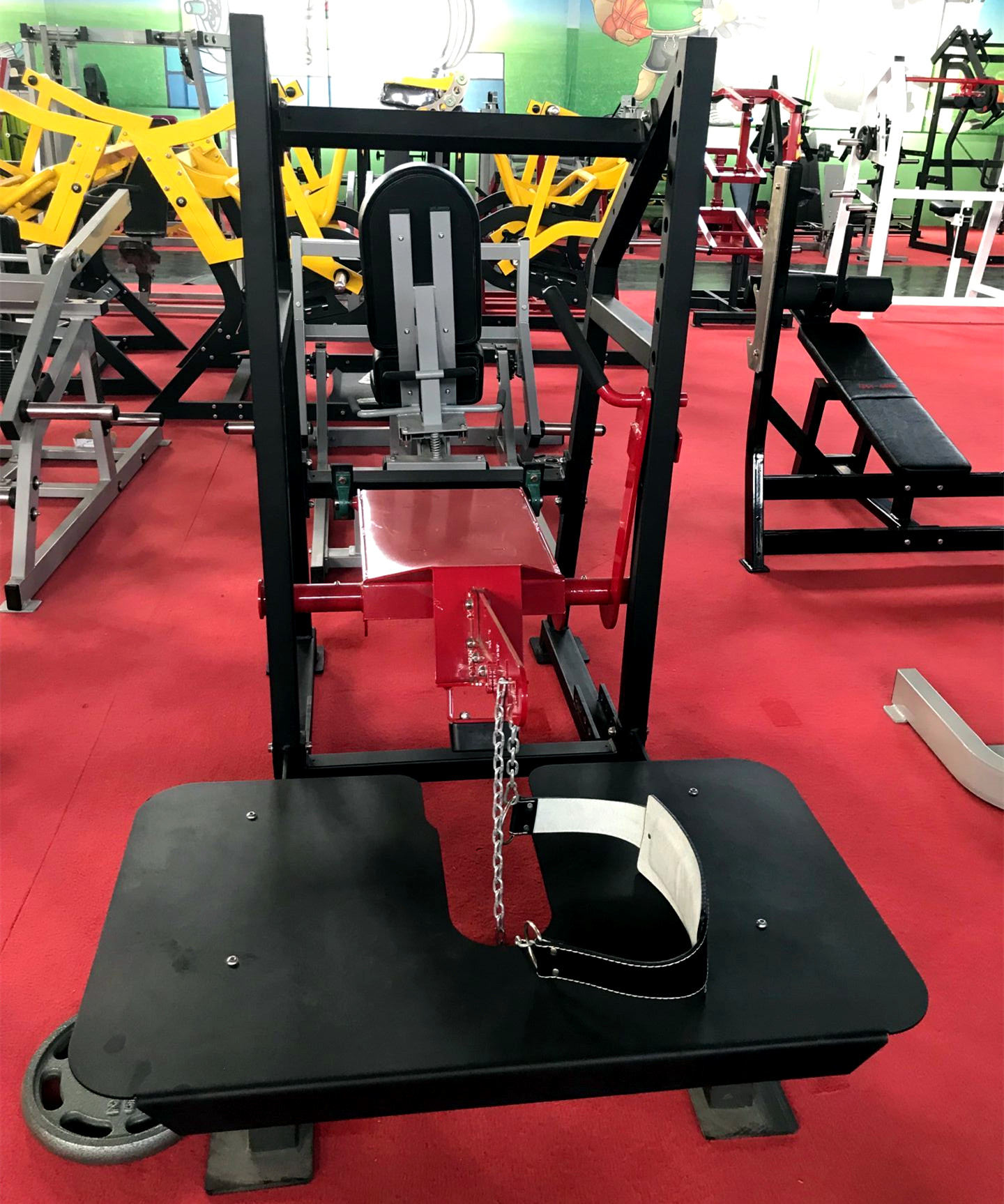 Delt Squat/Pit Shark