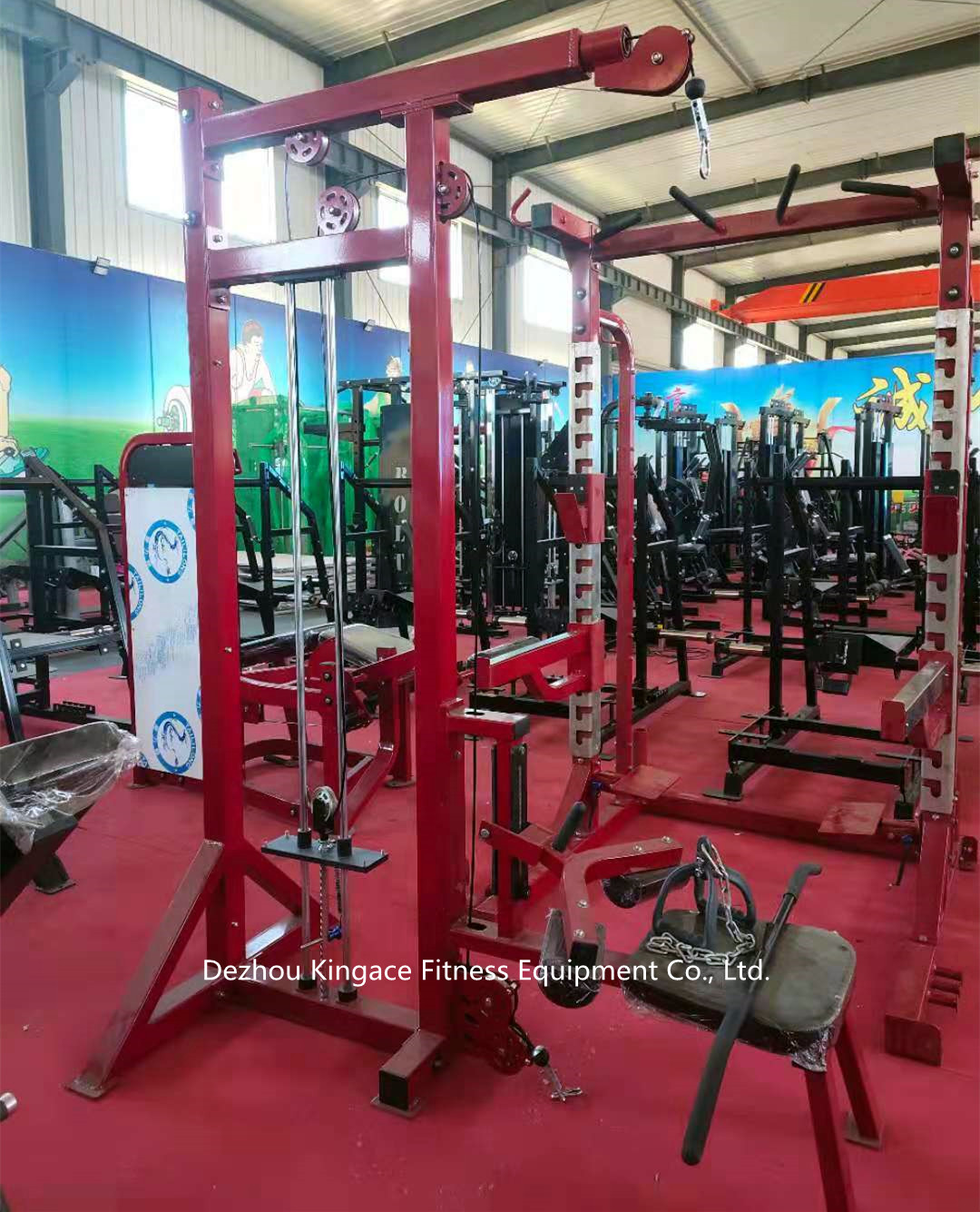 Hammer Selected Dual Pulldown&Seated Row