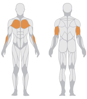 Dips Press Dual System