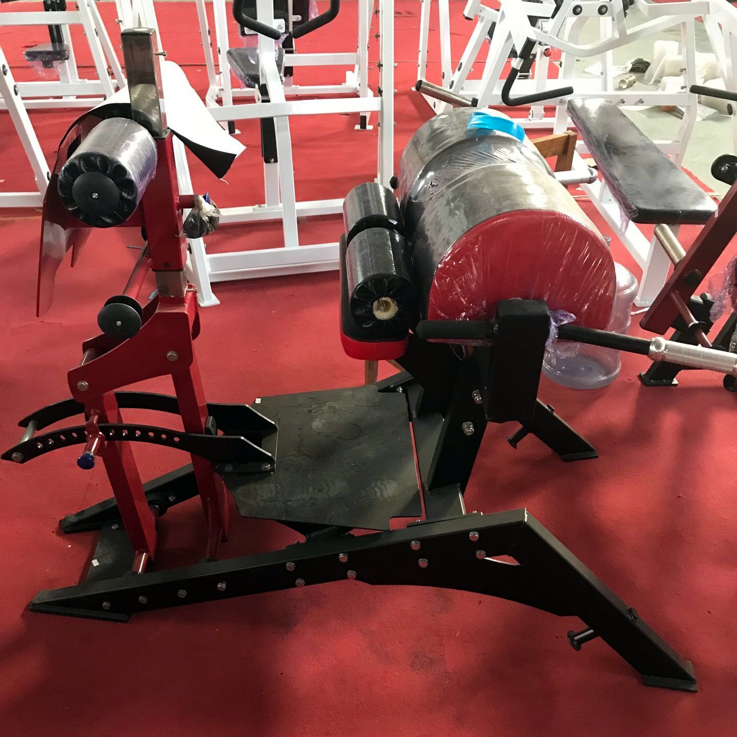 Glute-Ham development 