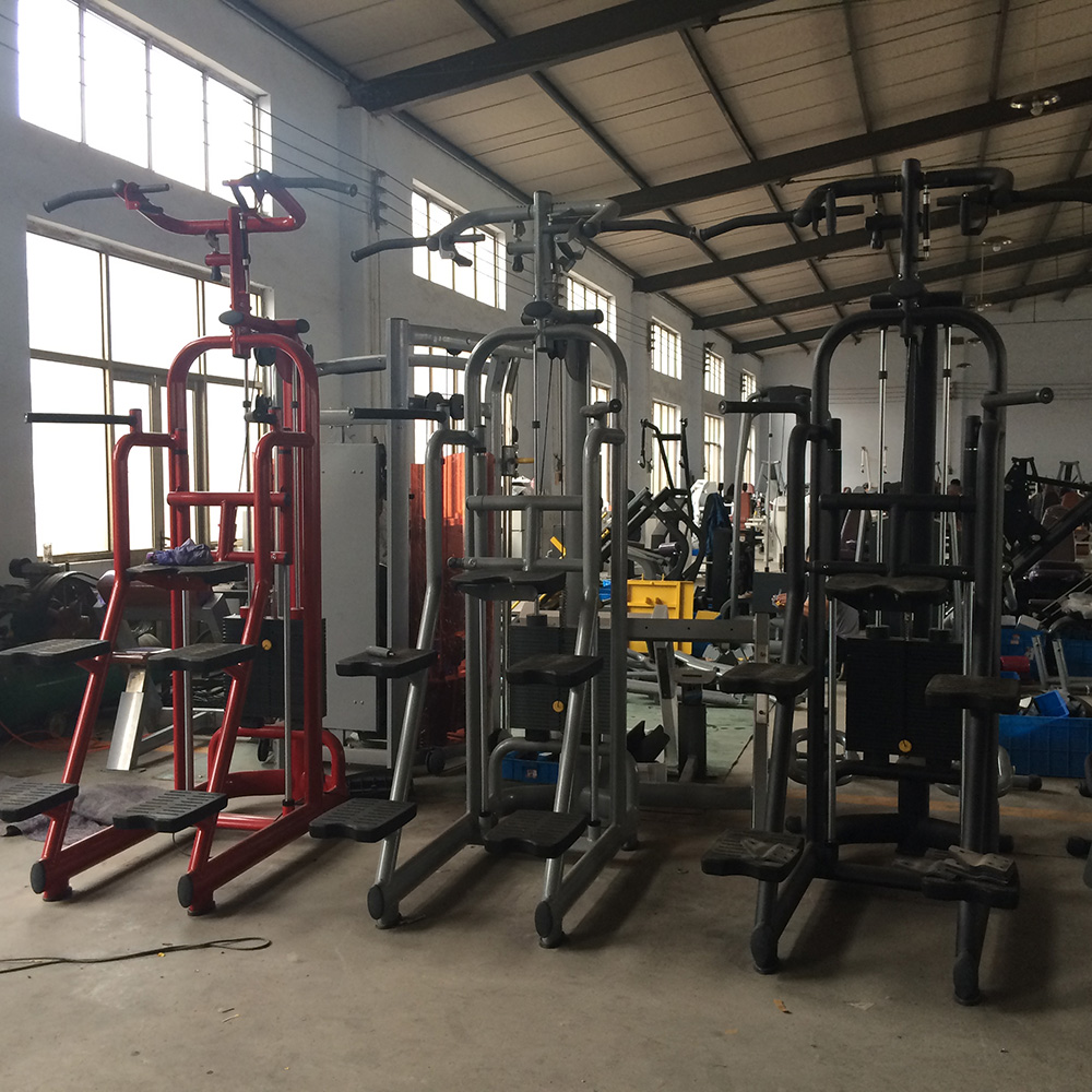 Assisted Chin Up/Dip