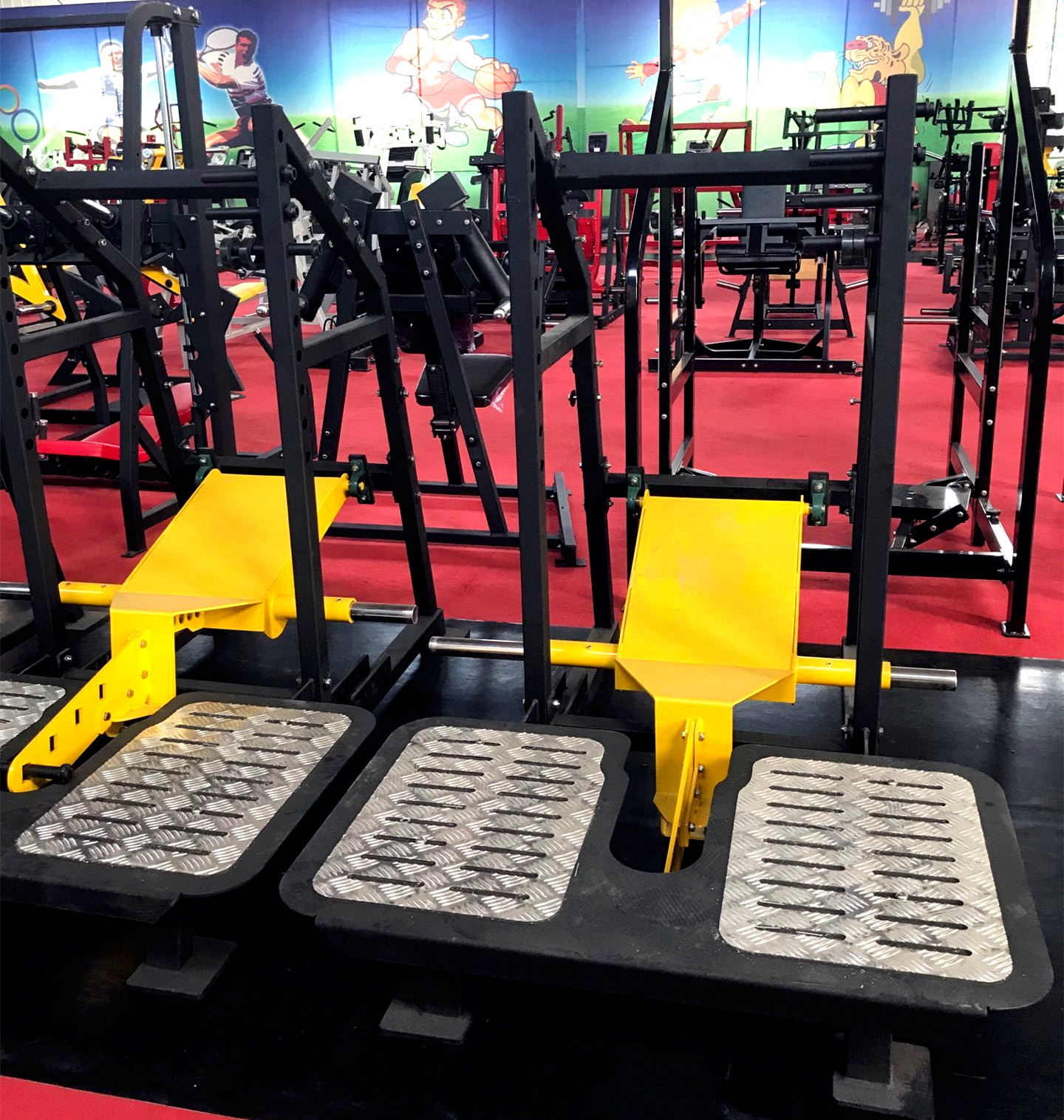 Delt Squat/Pit Shark