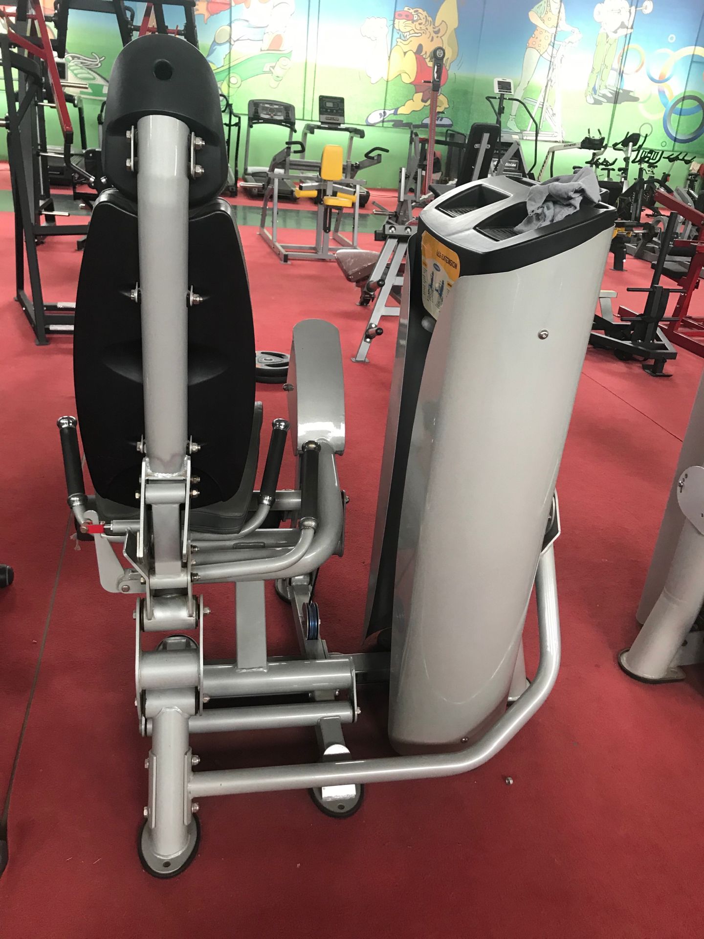 Commercial Leg Extension