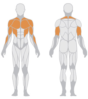 Vertical Chest Press