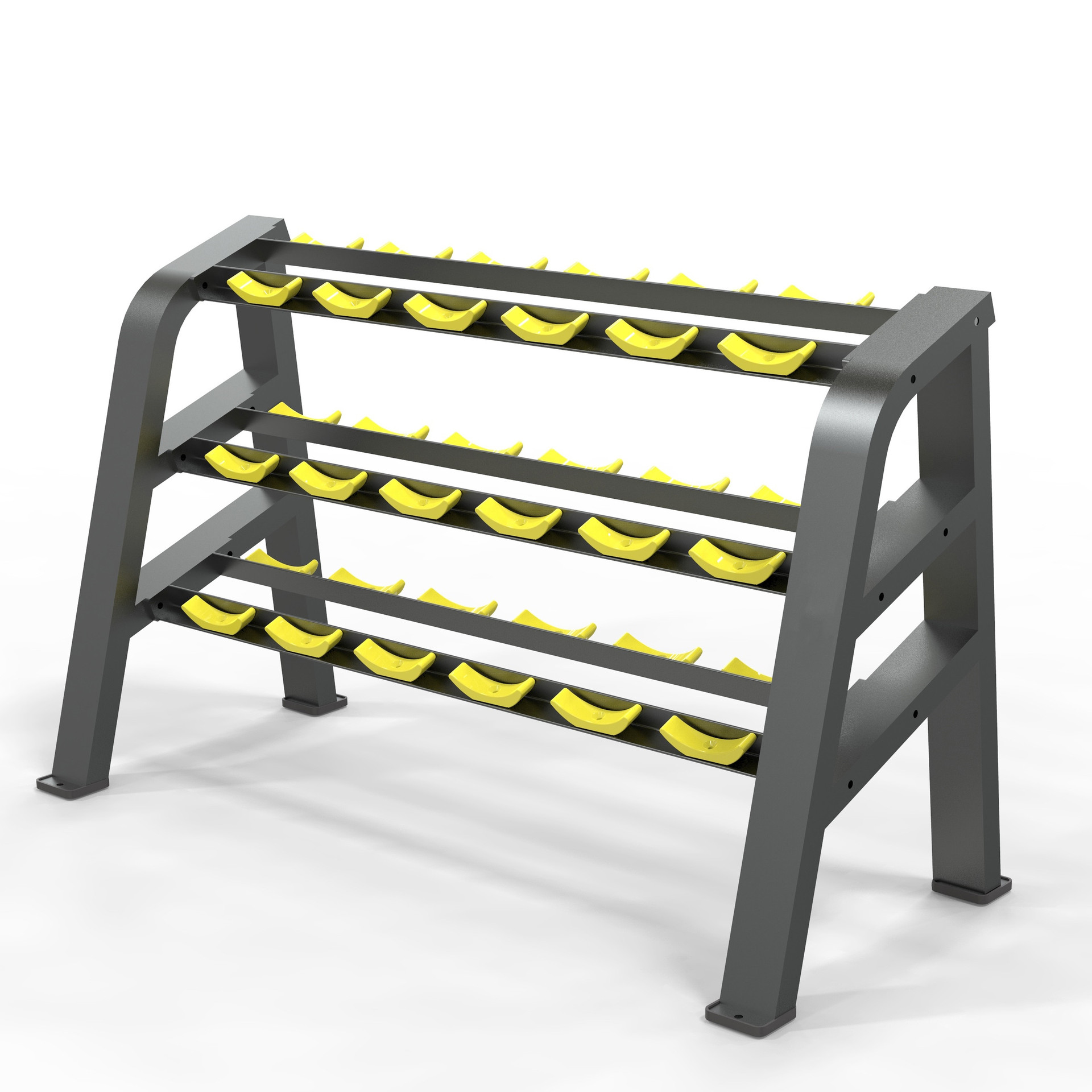 Beauty Dumbbell Rack