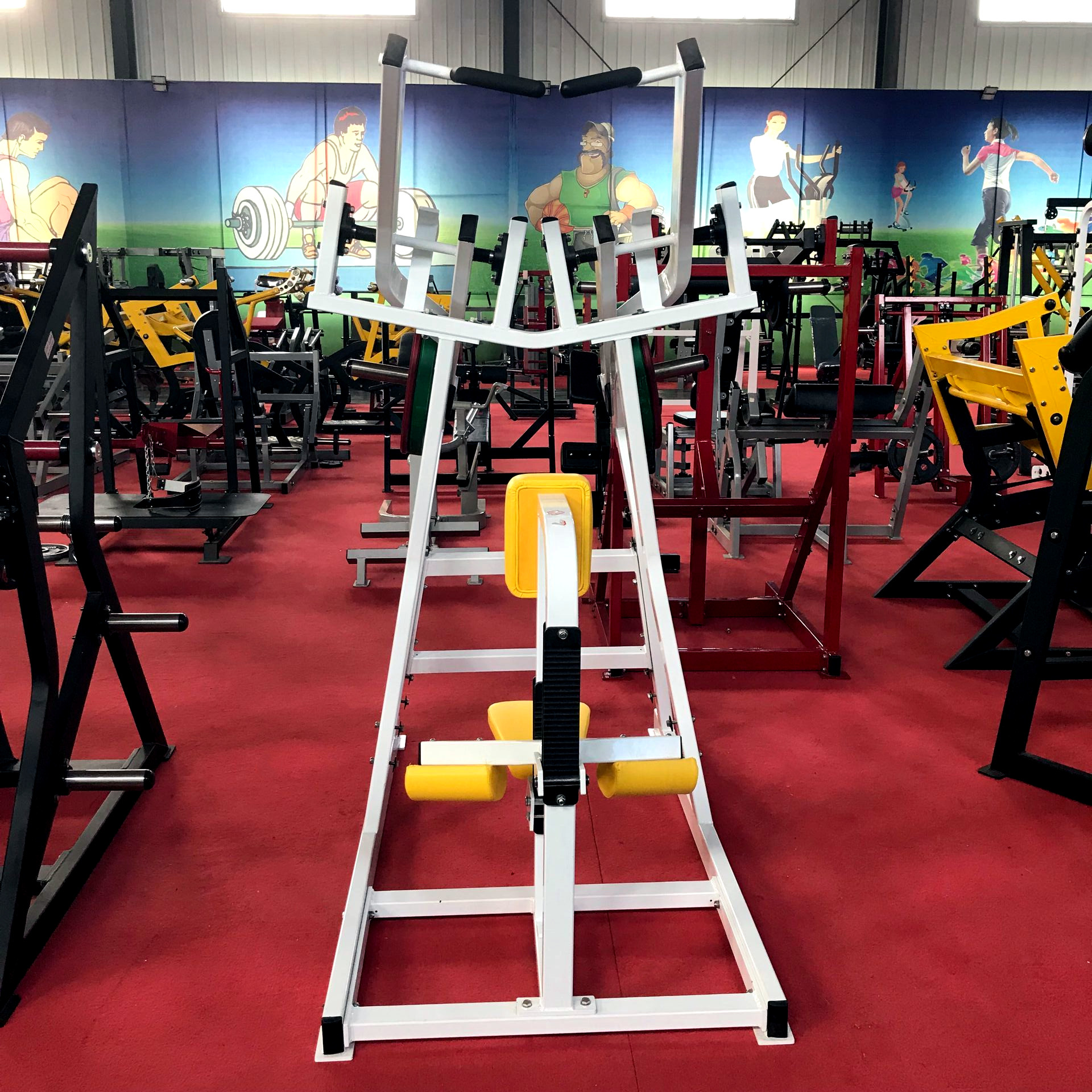 Iso-Lateral Front Lat Pulldown