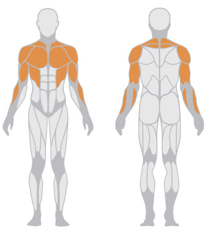 Super Inclined Bench Press