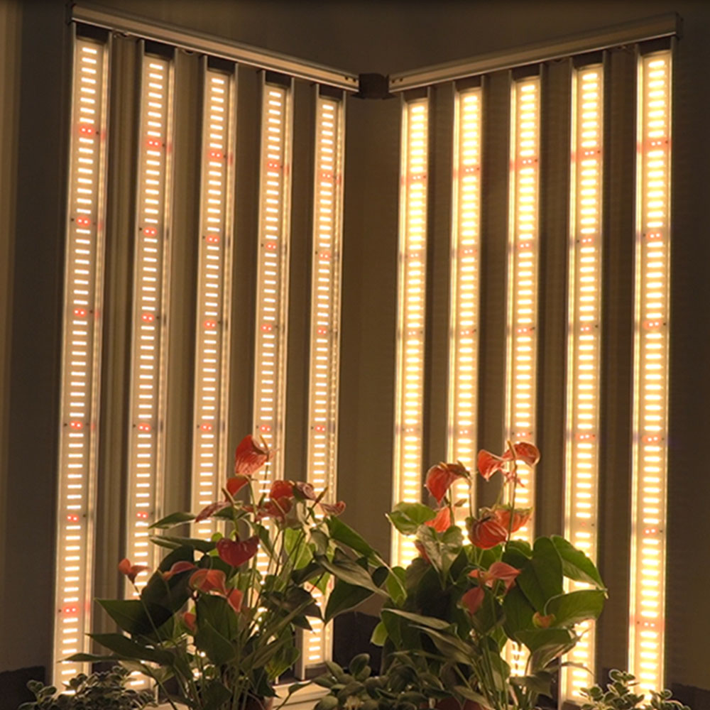 MEIJIU F10 PLUS 1000W V3