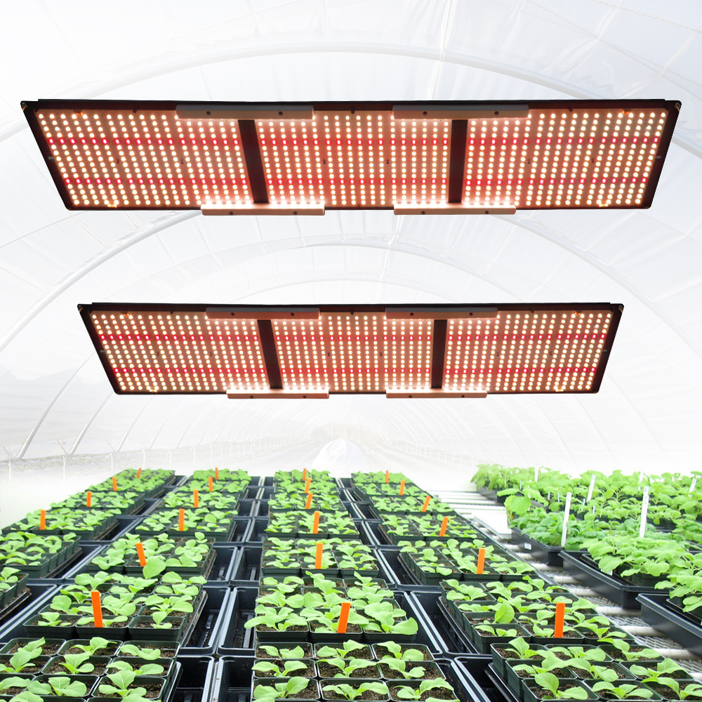 FOLUX-PLUS-V3-600H-6