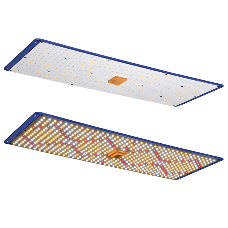 Buy Meijiu Quantum Board Led – MEIJIU