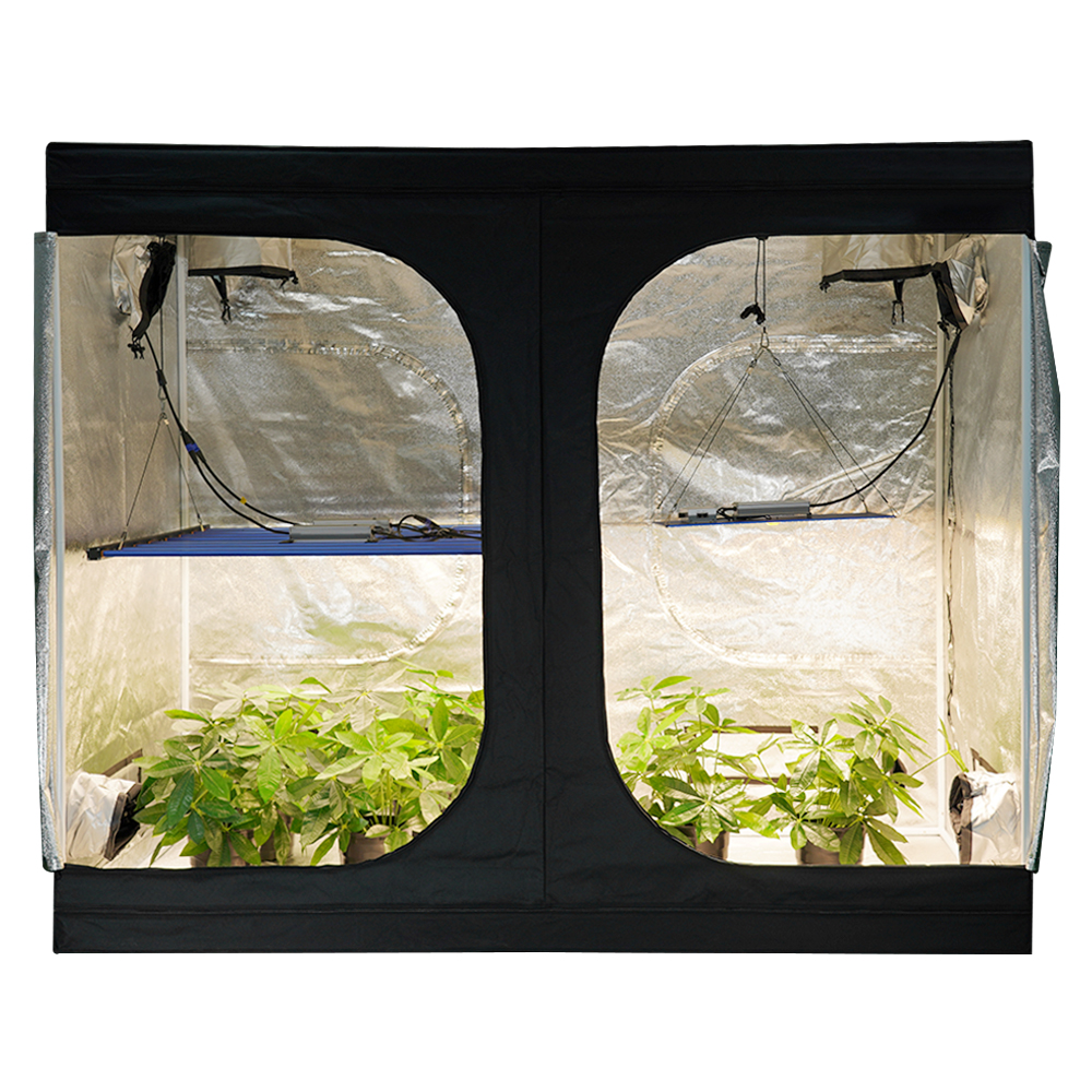 MEIJIU Hydroponics Indoor Grow 300x150X200CM 600D Grow Tent（with viewing window）