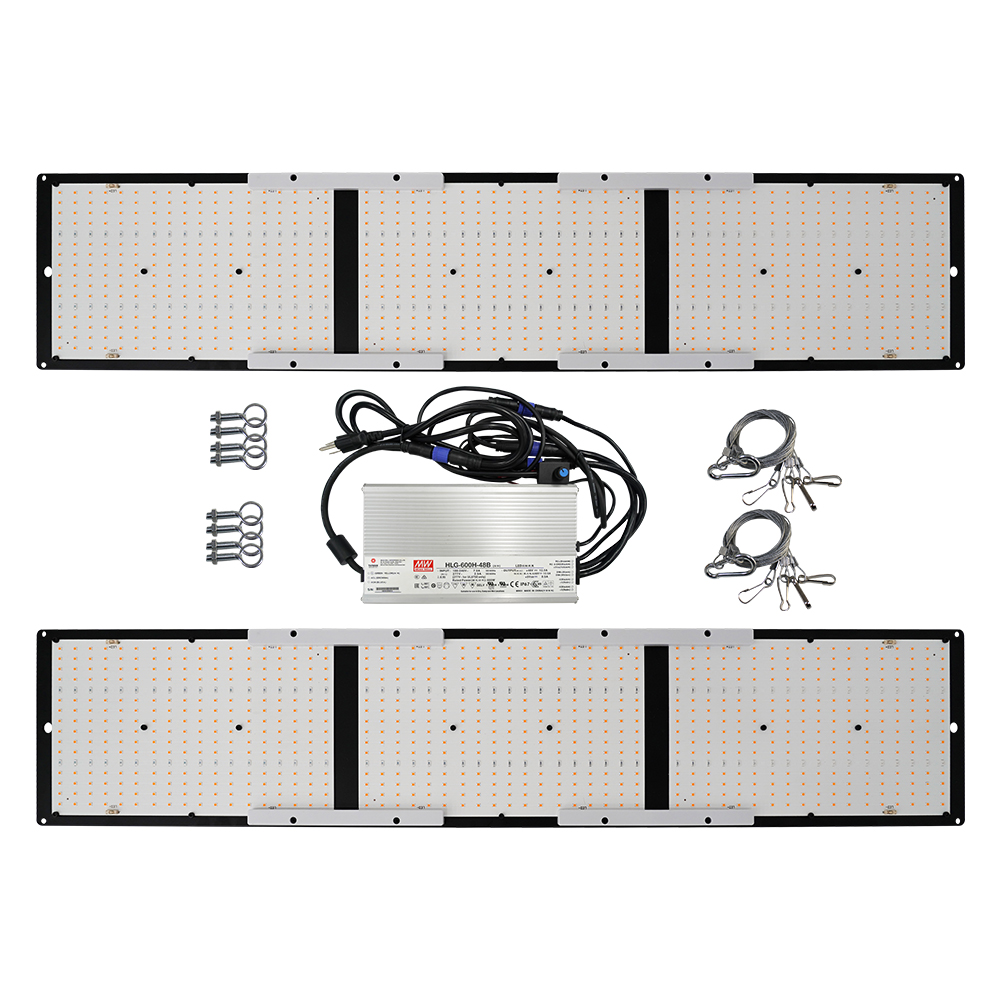 FOLUX-PLUS-V3-600H-6