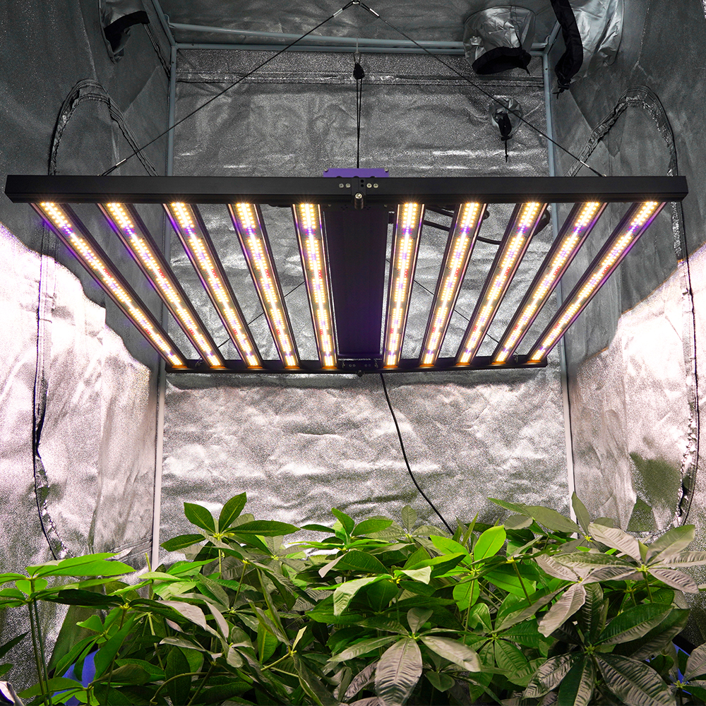 MEIJIU 1978 Led Grow Lampe