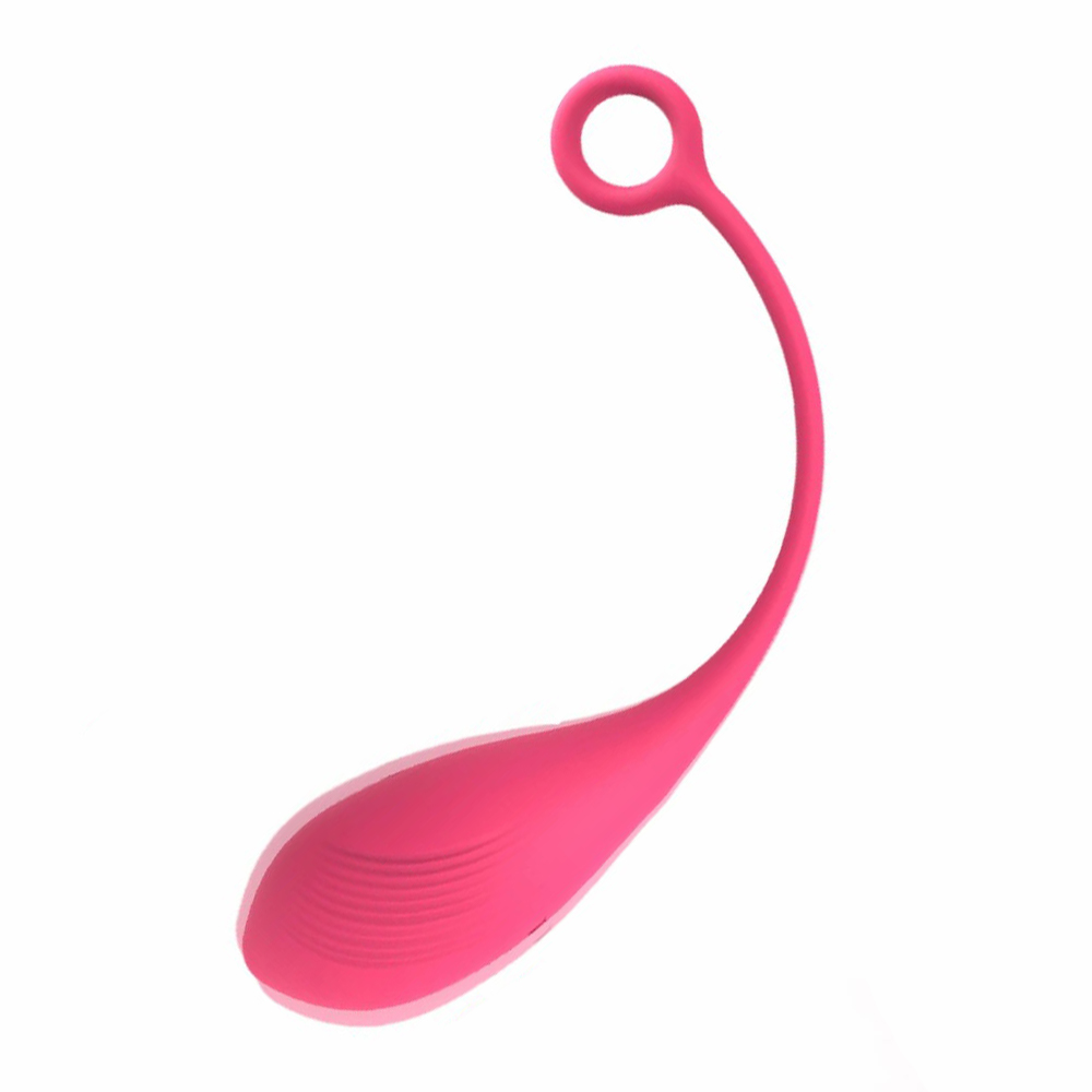 Remote Control Egg Vibrator Kegel Ball Workout Vaginal G-spot Clitoral Stimulator Female Masturbator