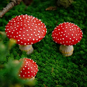 fairy garden mushrooms