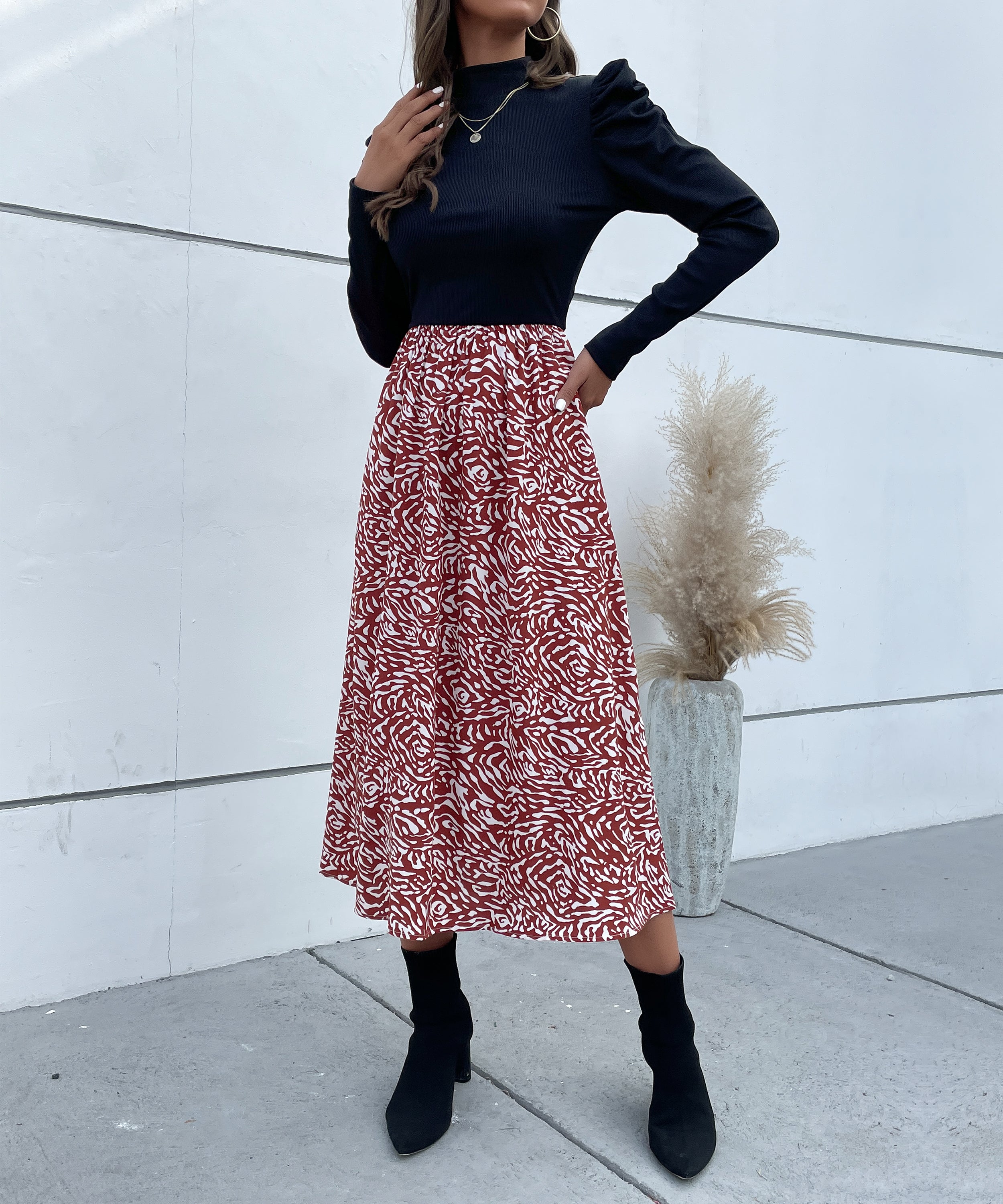 Colorblock Graphic Print  Gigot Sleeve A-line Midi Dress