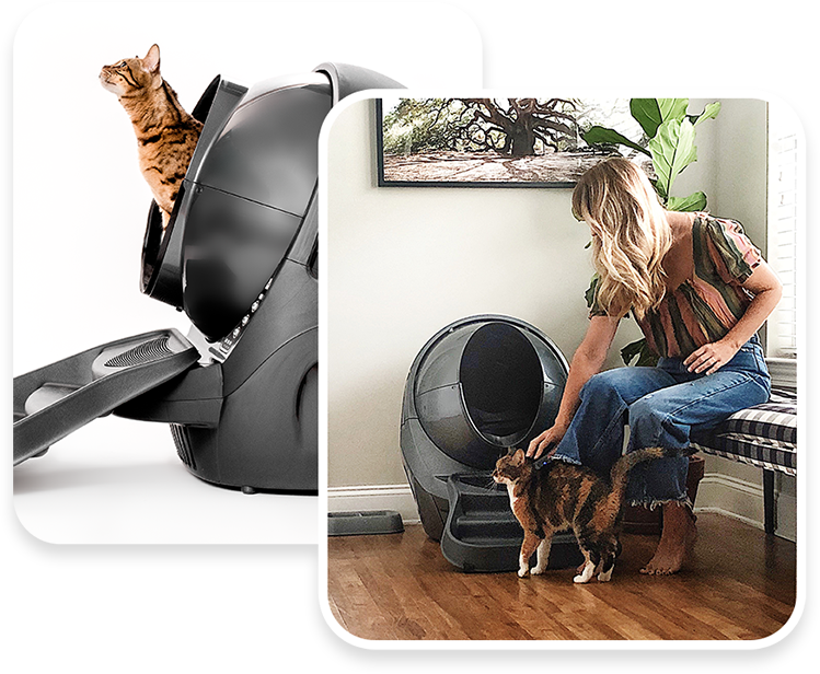 Outstanding odor control
