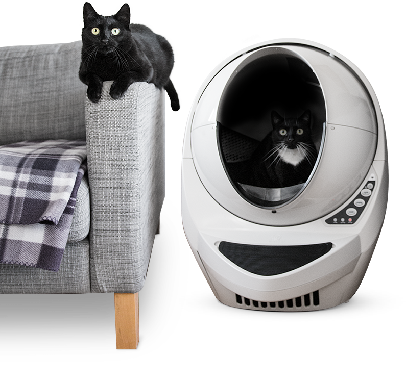 Multi-cat friendly