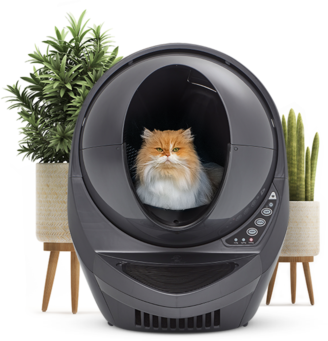 The smartest litter box