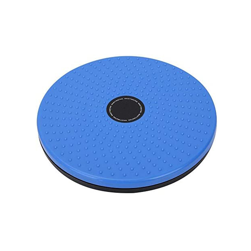 Twisting Waist Disc Rotating Board