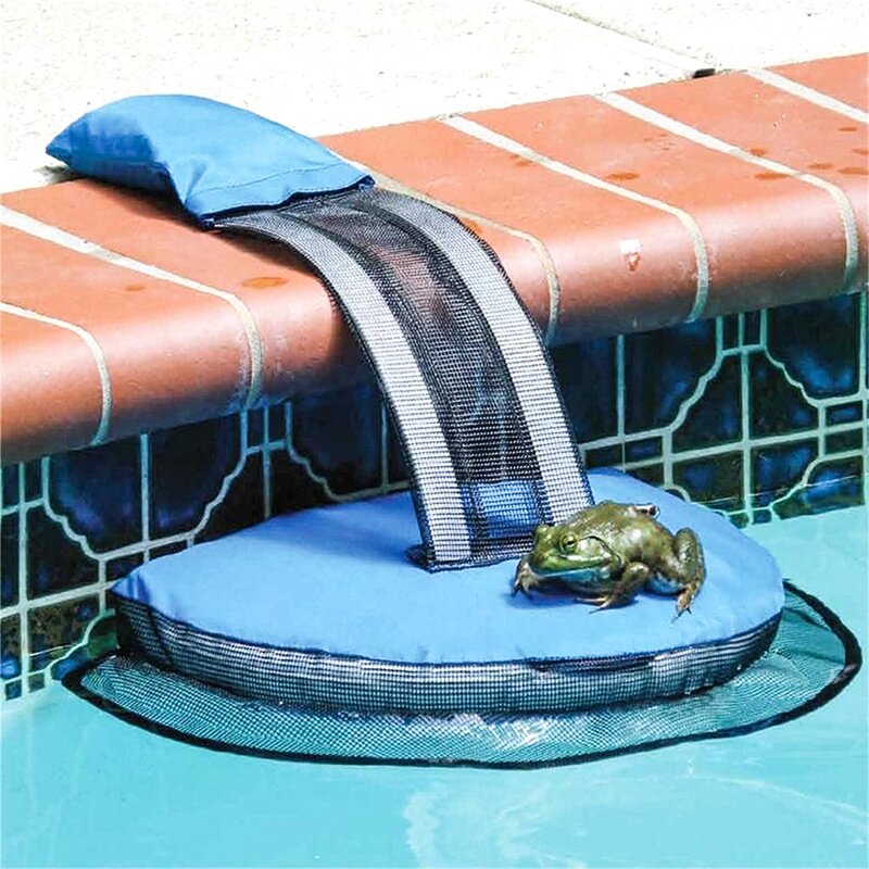 Frog Small Animal Swimming Pool Saving Escape Ramp Safe Environmentally Escape Route