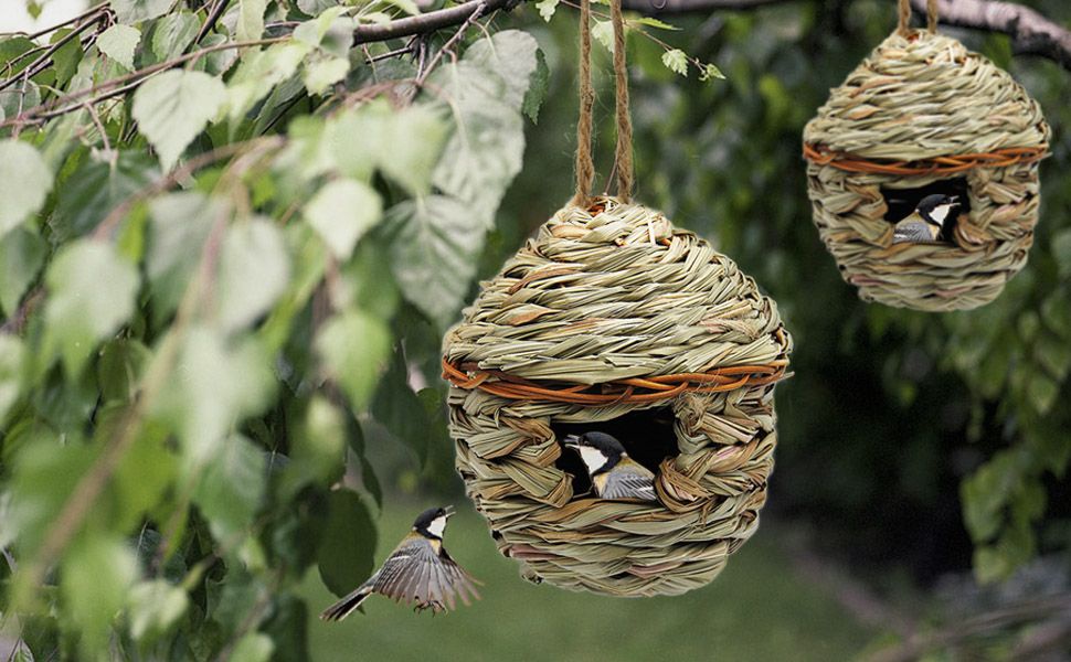 Lovely Bird House