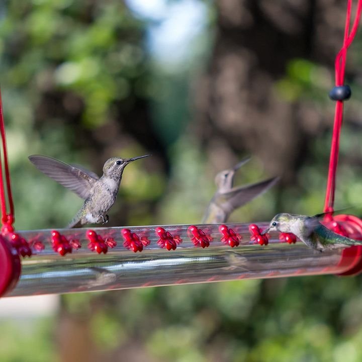 Hummingbird Hanging Long Tube Feeder