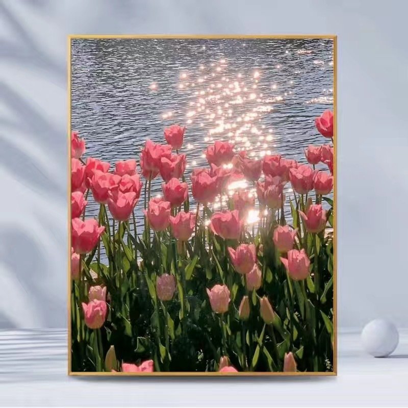 DIY Digital Painting Set for Beginners, Adult Canvas Reflection