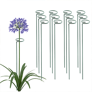 Plant support hoops