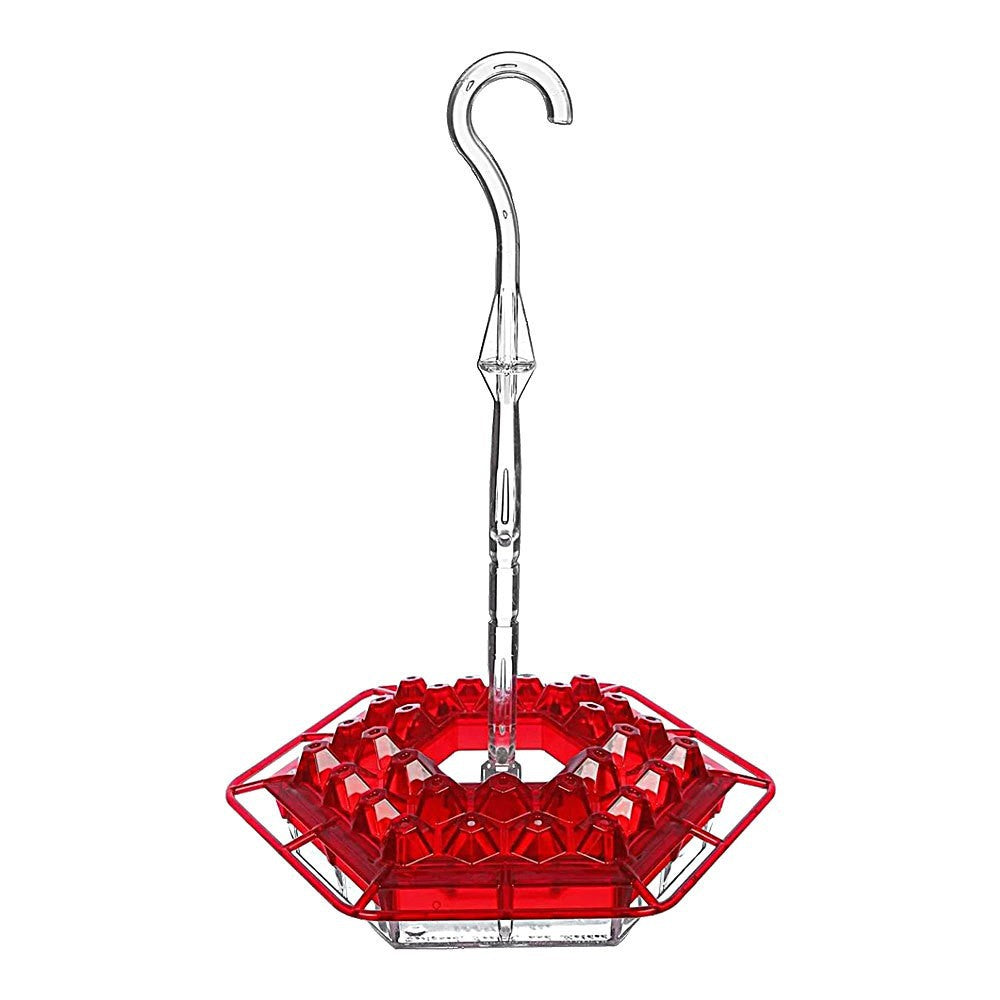 Hummingbird Feeder With Perch
