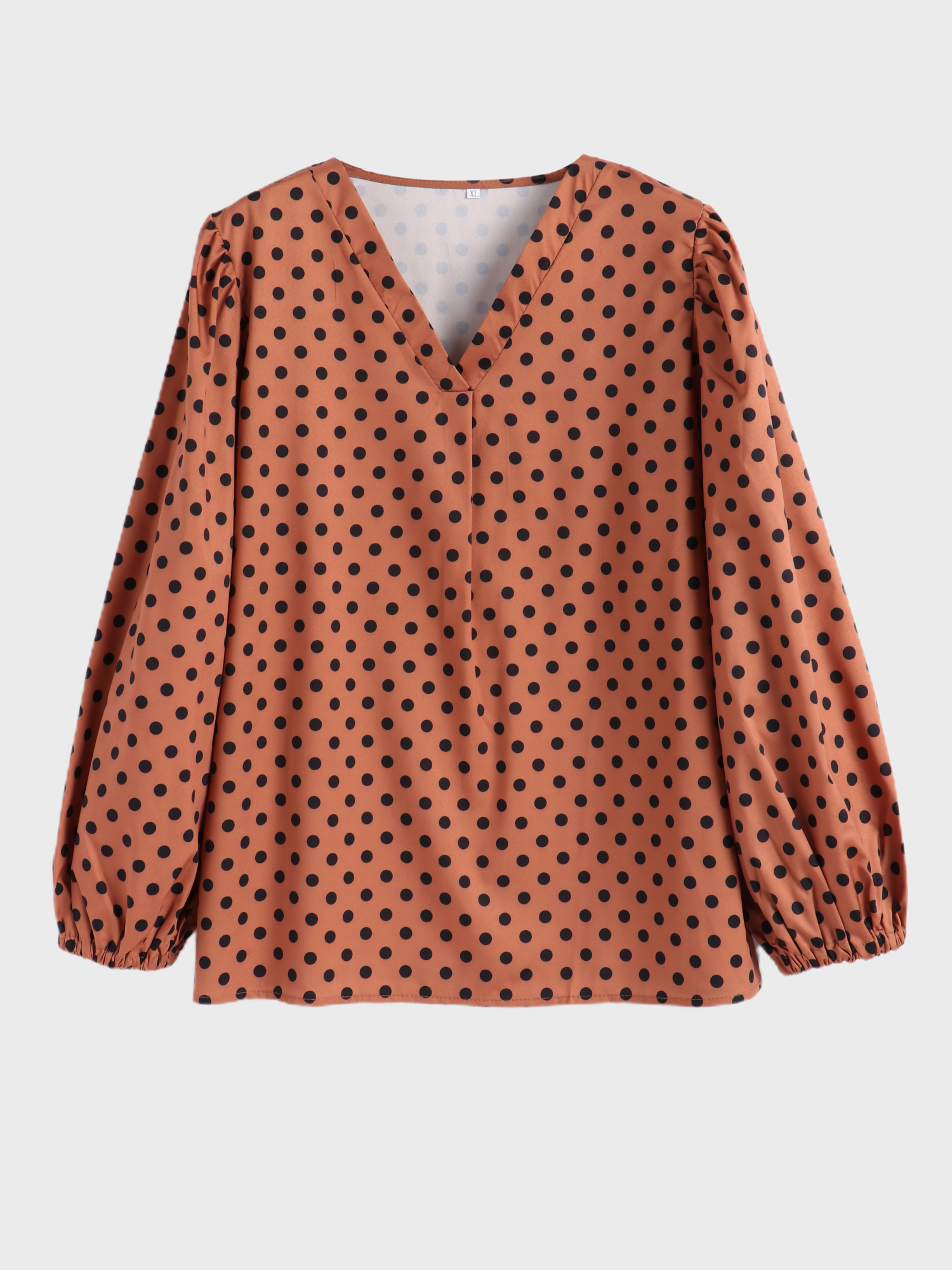 Polka Dot Lantern Sleeves Blouse