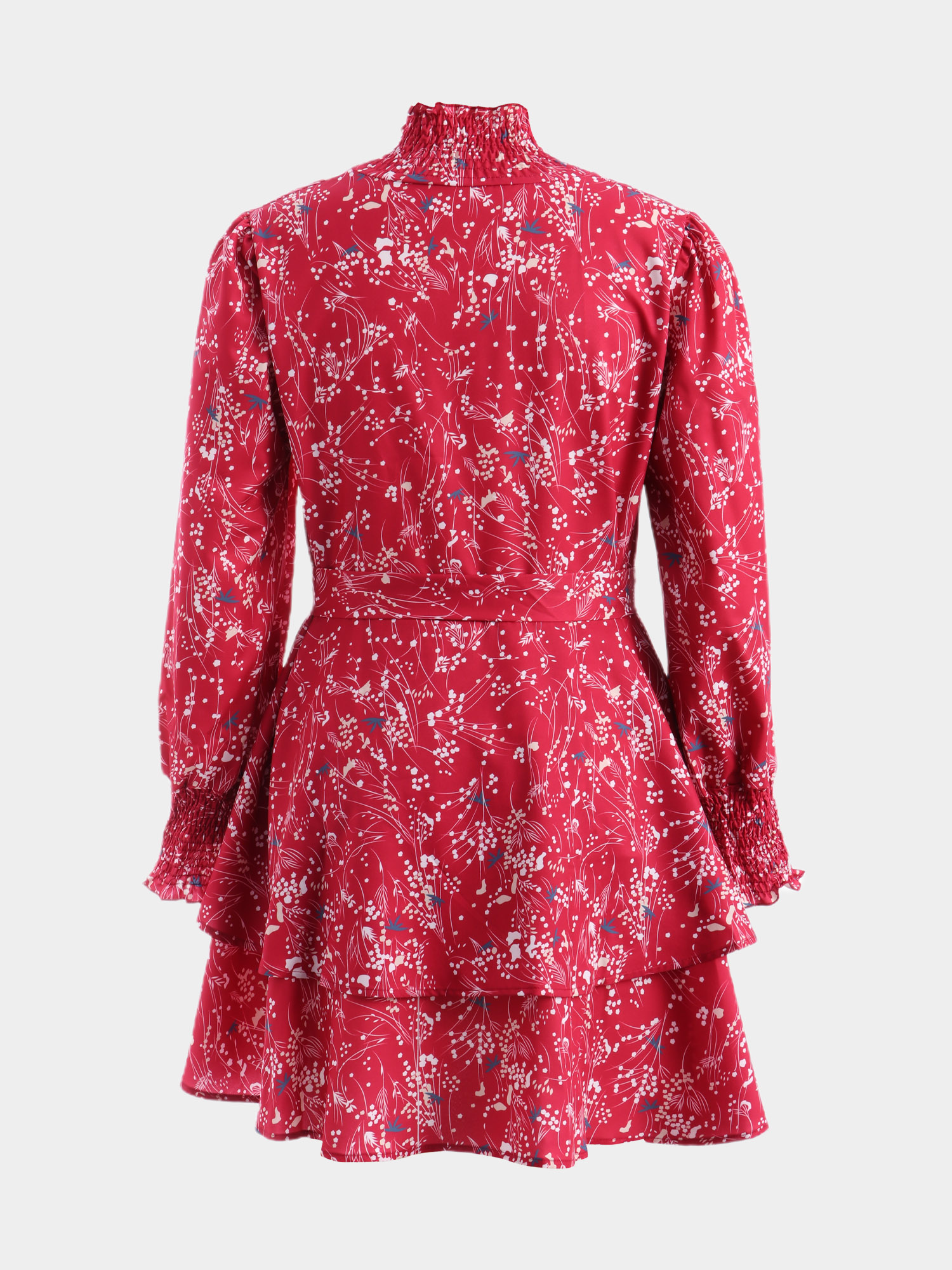 Dreamy Sheer Turtleneck Dress