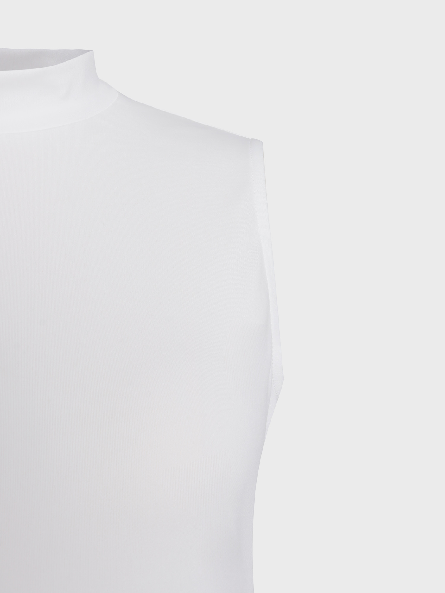 Timeless Look Turtleneck Dress