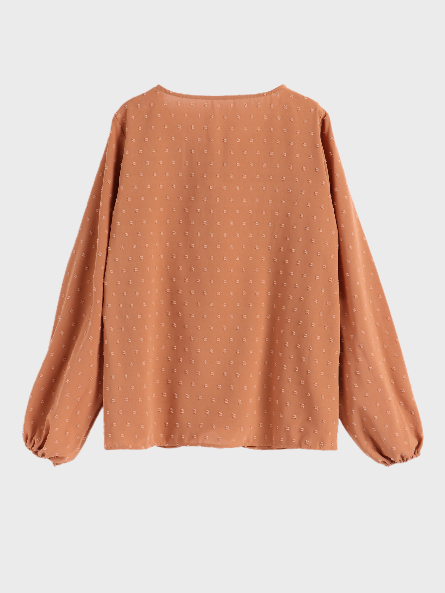 Lady Ruffle Hem Lantern Sleeve Blouse